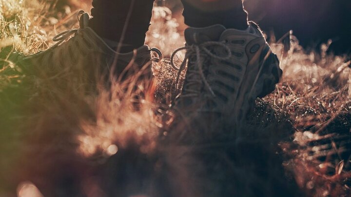 Logo for Plymouth Women Wisdom Walks