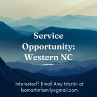 Logo for Helping Western NC