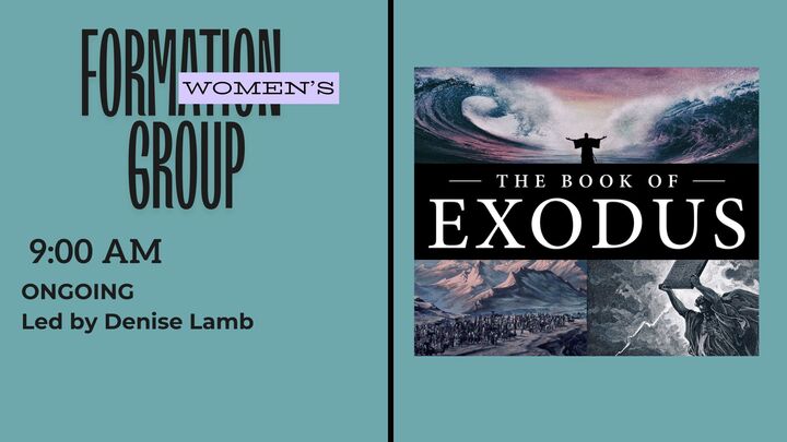 Logo for Denise Lamb's group (women)