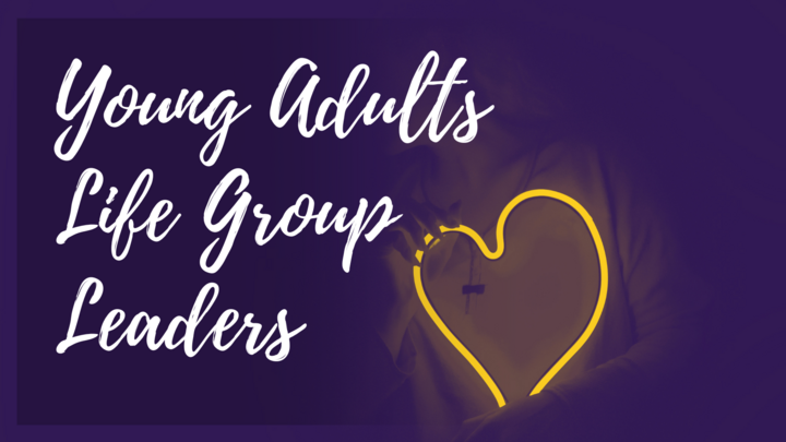 DBV LG Leaders - Young Adults: Under Construction Follow Up Meeting (2)