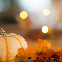 Logo for Women In Touch