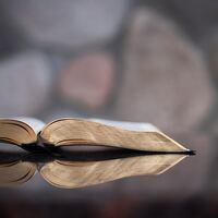 Logo for Sunday Night Adult Study