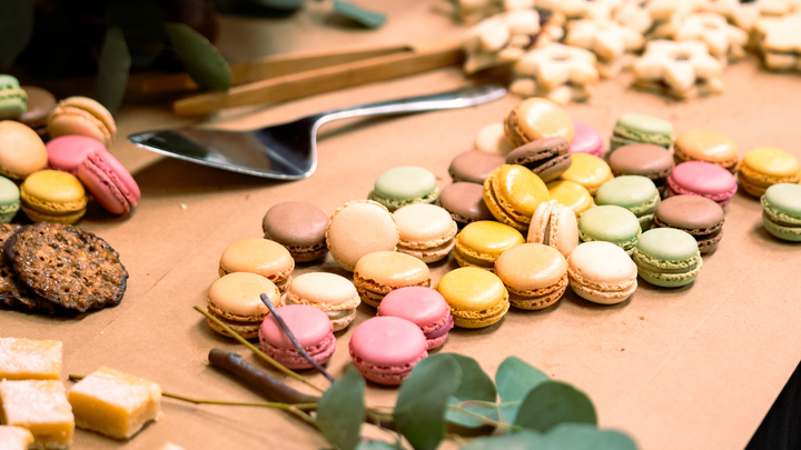 Logo for 2025 Northlands Experience