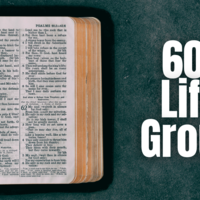 Logo for 60+ - Life Group