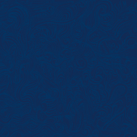 Blue Team
