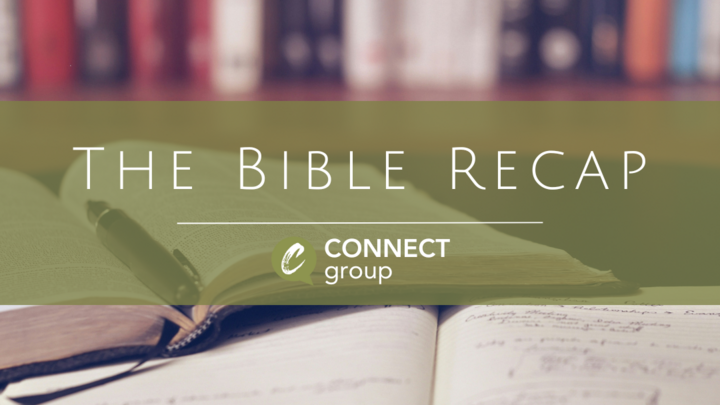 Logo for The Bible Recap