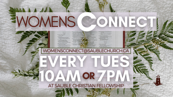 Logo for Womens Connect