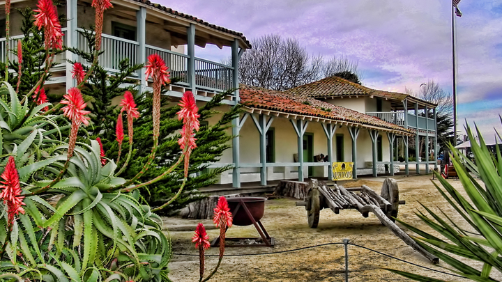 Logo for Alaina Musich's Group