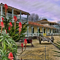 Logo for Alaina Musich's Group