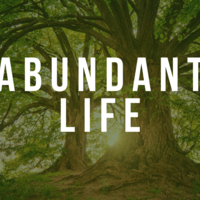 Logo for Abundant Life