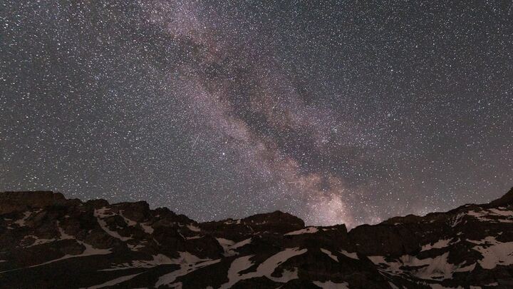 Logo for Families with Young Adults - Malcolm and Jillian