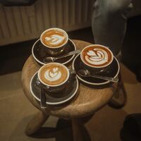 Logo for Chapel Pointe Widows