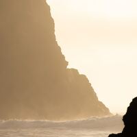 Logo for Spring Grief Share