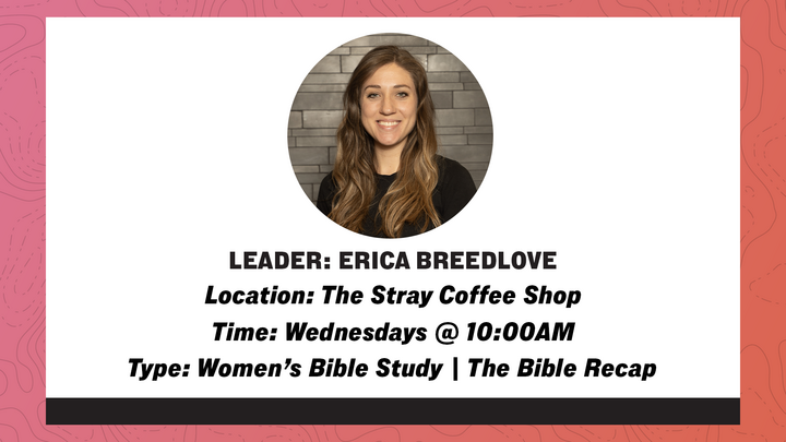 Logo for 04 Women's Bible Study | Bible Recap