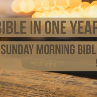 Logo for Chronological Bible Survey