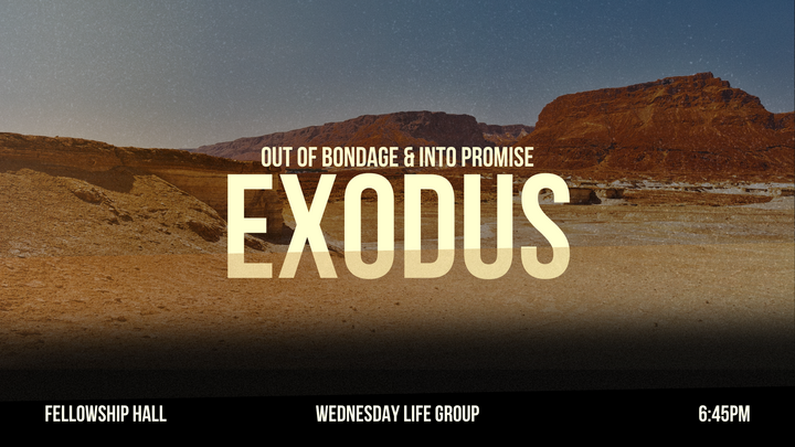 Logo for Exodus - Out of Bondage & Into Promise