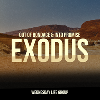 Logo for Exodus - Out of Bondage & Into Promise