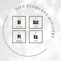 Logo for 2025 Sunday Life Elements Module 4 (Lifestyle Elements)