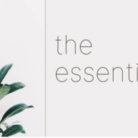 Logo for RIPON: Essentials