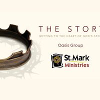 Logo for The Story with the Kallies'