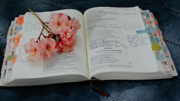 Logo for Women's Wed AM Bible Study