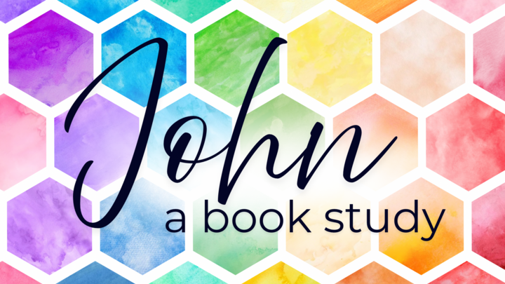 Logo for The book of John