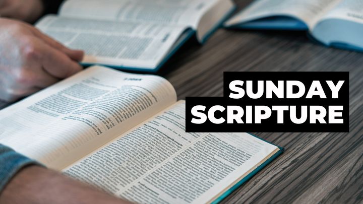 Sunday Scripture