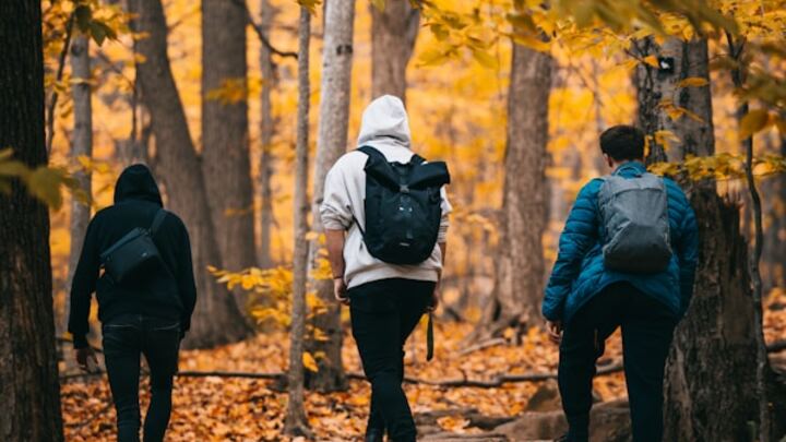 Logo for Boys to Men: Group for Young Men