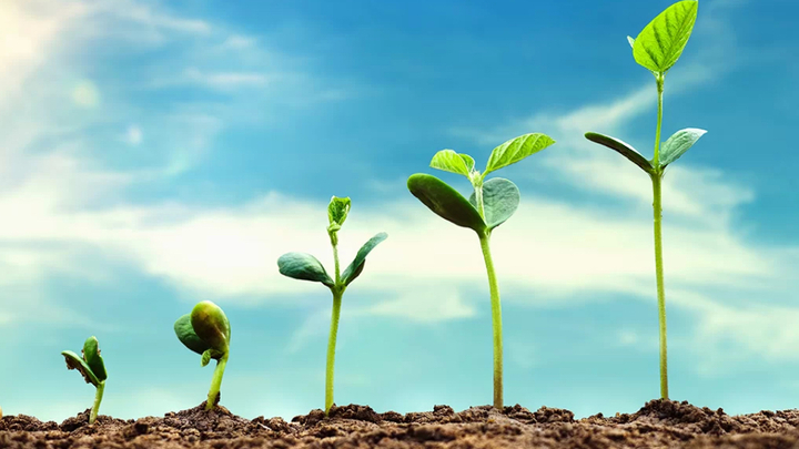 Logo for Friesen Small Group