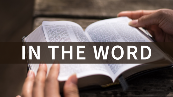 Logo for In the Word