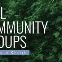 Logo for *Looking for a New Group?