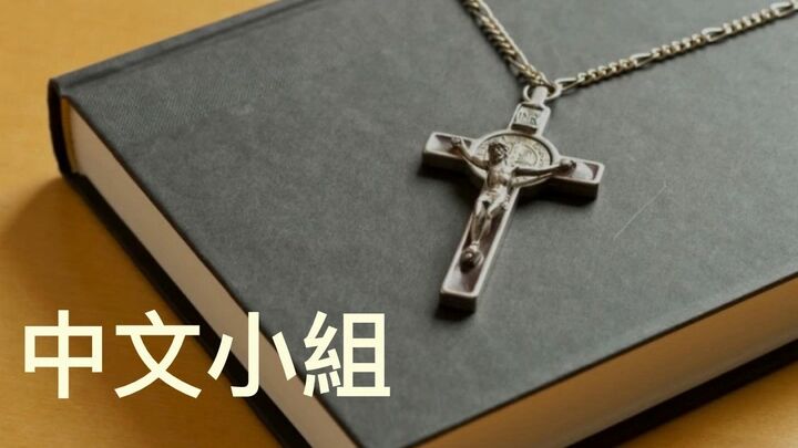 Logo for Westhills Chinese Group