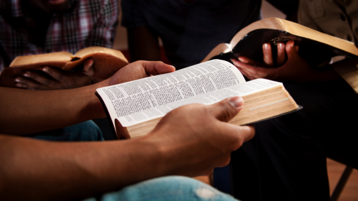 Logo for Thrive: Young Adult Bible Study (18-30)