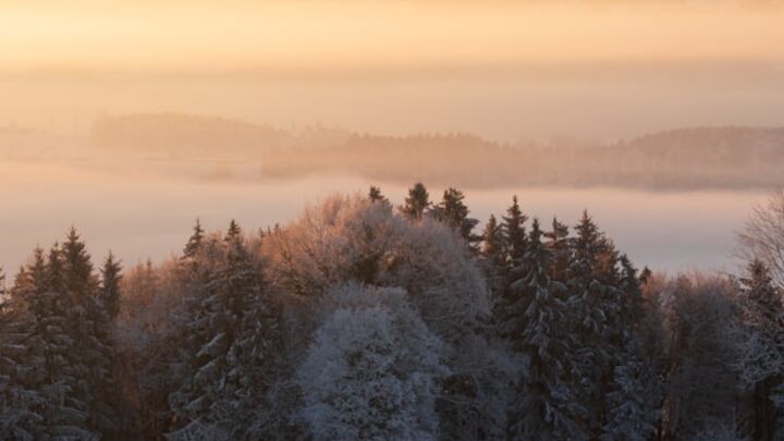 Logo for Erikson Small Group