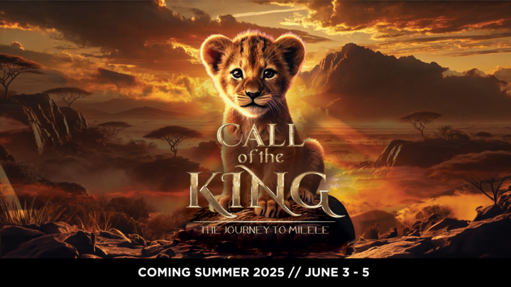 Logo for VBB 2025 VOLUNTEERS