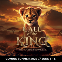 Logo for VBB 2025 VOLUNTEERS