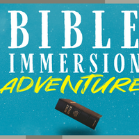 Logo for Bible Immersion Adventure