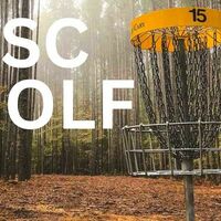 Logo for Disc Golf Group