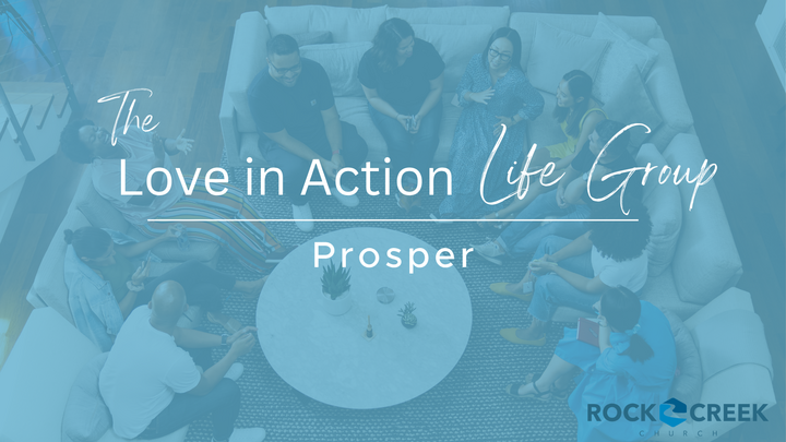 Logo for The Love in Action Group