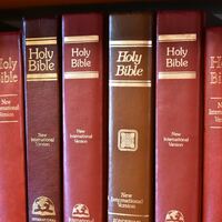 Logo for David Joshua