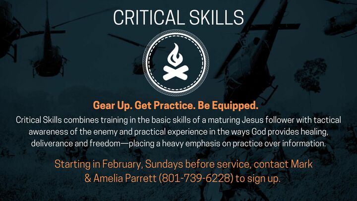 Logo for Critical Skills