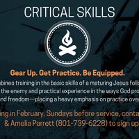 Logo for Critical Skills