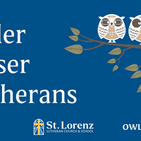 Logo for OWLs - Older, Wiser, Lutherans