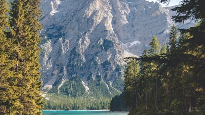 Logo for Sines Group