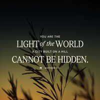 Logo for Seeds of Light Life Group