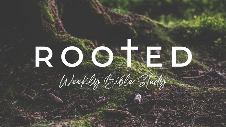 Logo for Rooted | Weekly Bible Study