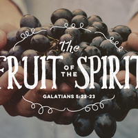 Logo for Bible Study | BWC Palmerton