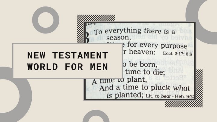 Logo for New Testament World for Men