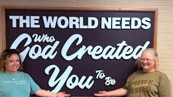 Logo for Wonderfully Made - Ramona Lapp