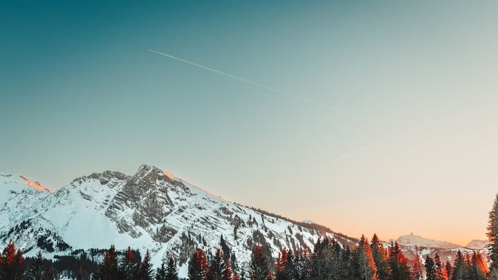 Logo for Sermon Application Life Group